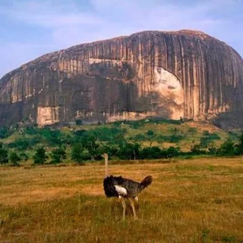 Zuma Rock rising above golden savannah grass in Nigeria with an ostrich in the foreground